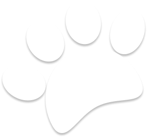 imagen de pata de perro